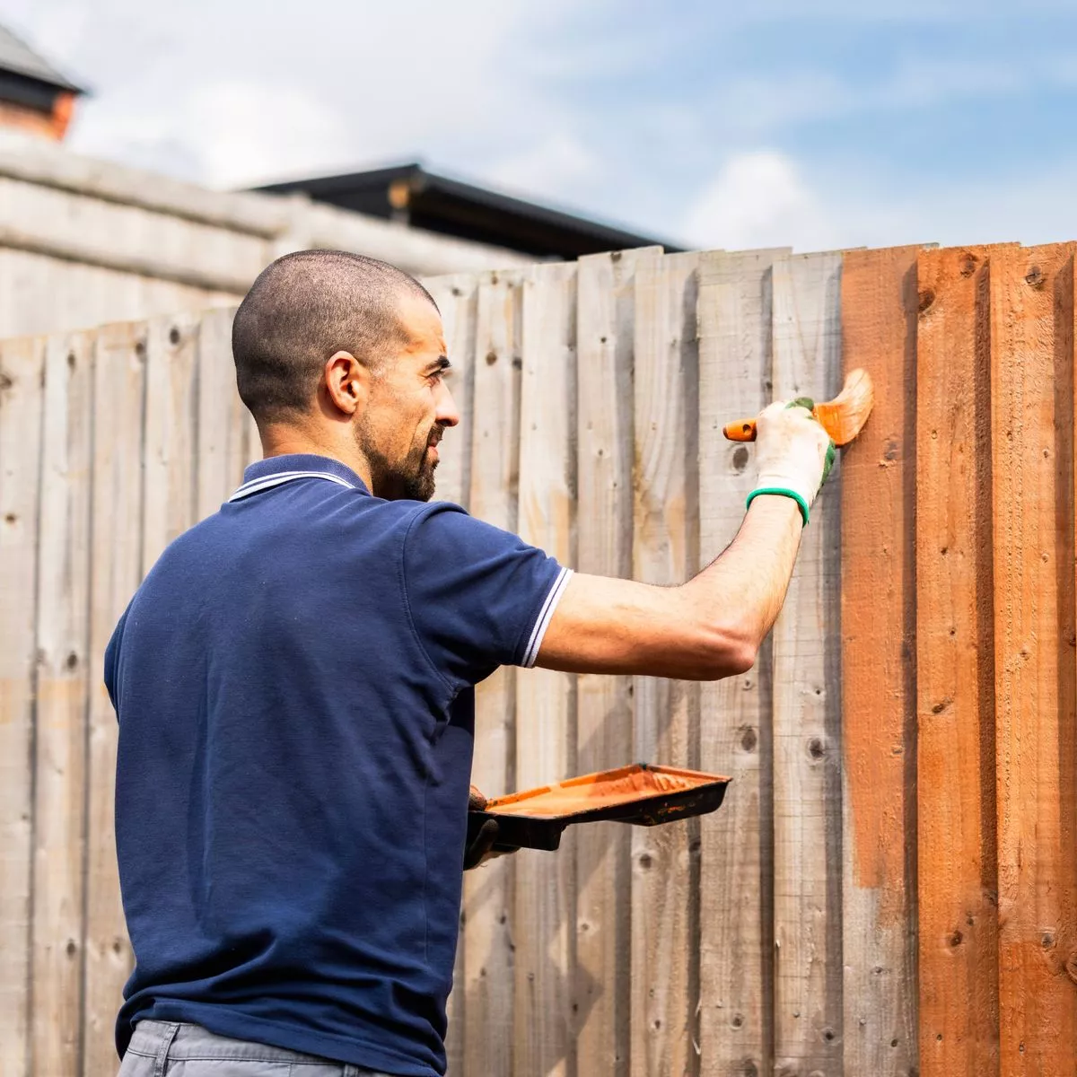 Fence Painting